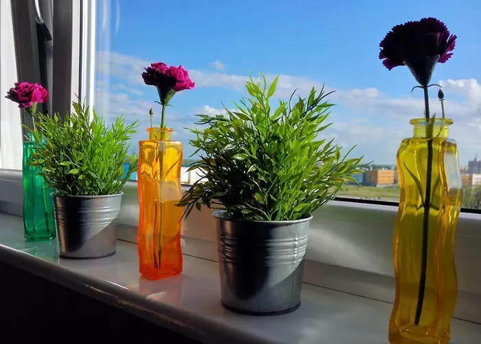 U Teofila コシャリン