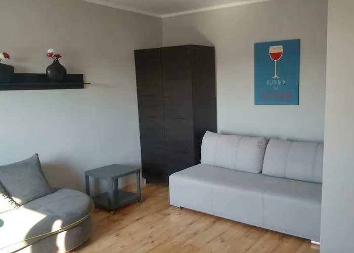 U Teofila 公寓 科沙林